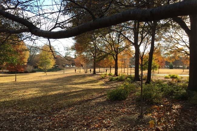 Park in the fall